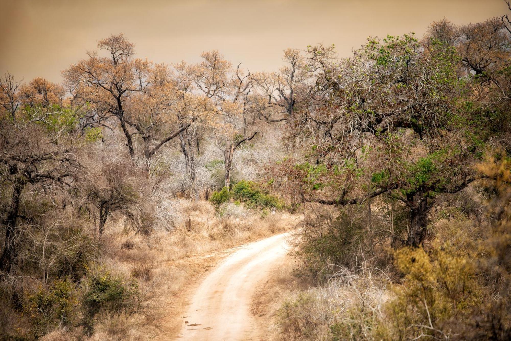 Hotel Rhino Walking Safaris Skukuza Exterior foto