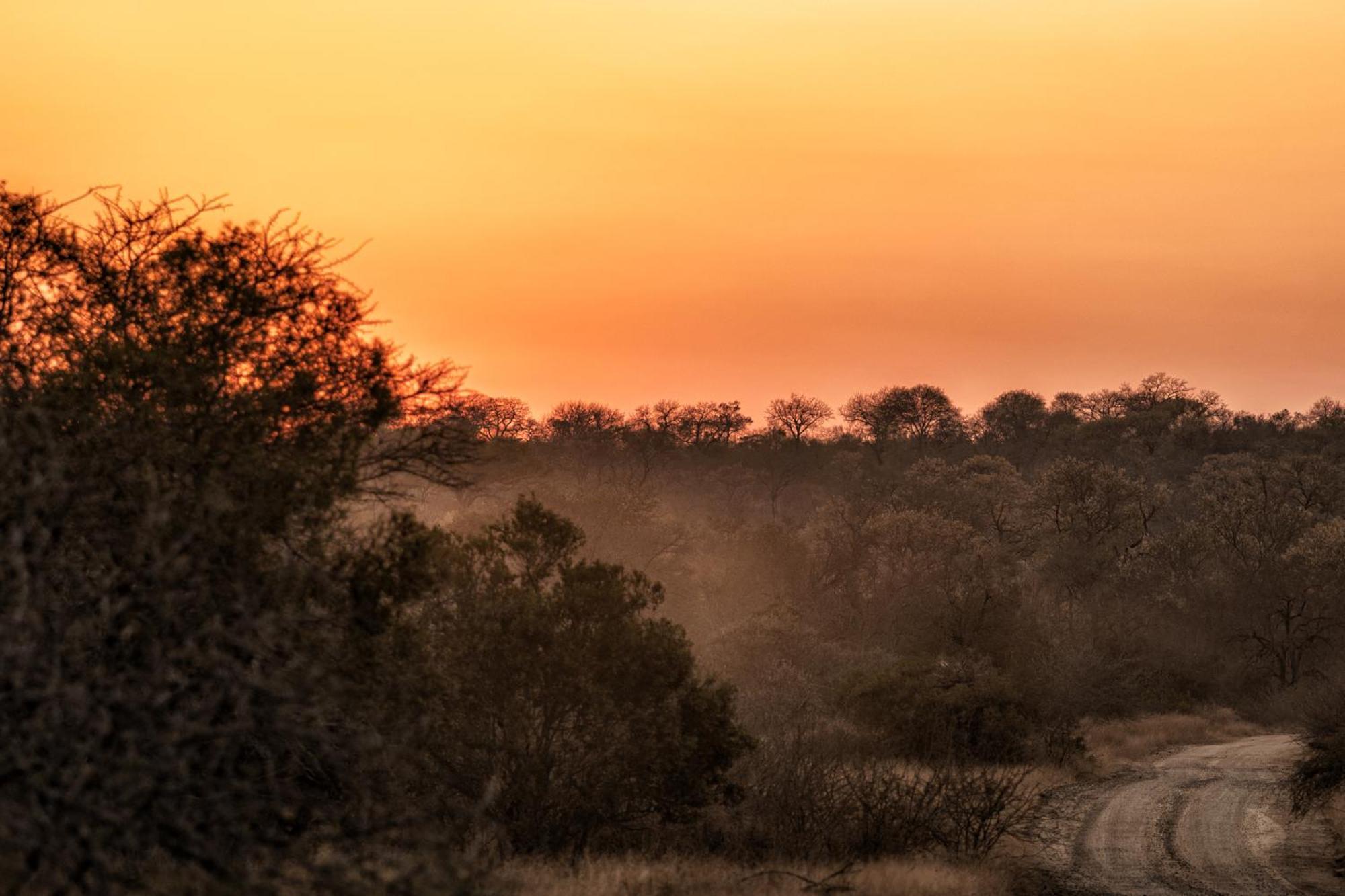 Hotel Rhino Walking Safaris Skukuza Exterior foto