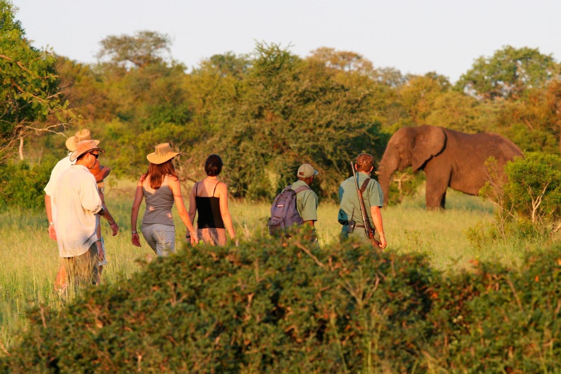 Hotel Rhino Walking Safaris Skukuza Exterior foto