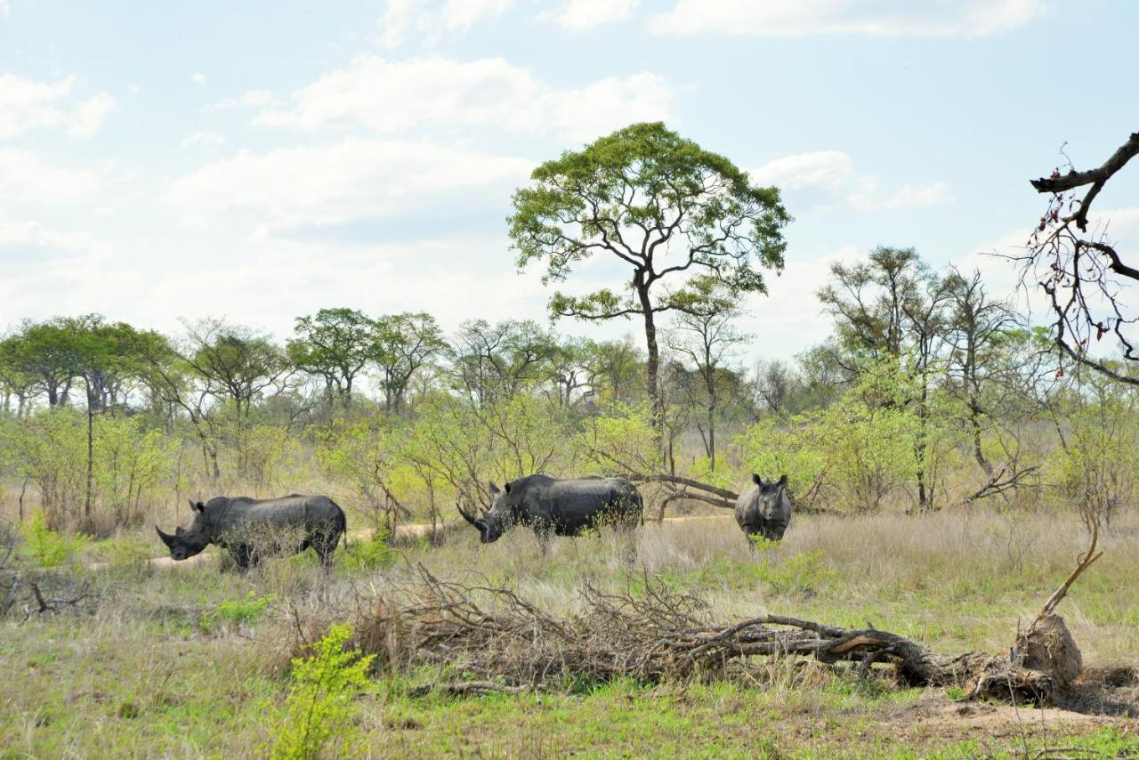Hotel Rhino Walking Safaris Skukuza Exterior foto